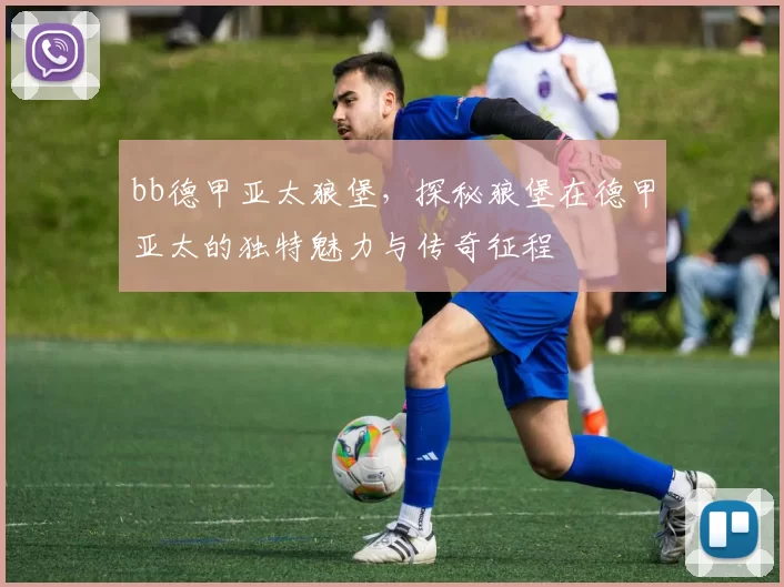 bb德甲亚太狼堡,探秘狼堡在德甲亚太的独特魅力与传奇征程