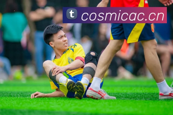 开云(中国)Kaiyun·官方网站 - 登录入口服务体系